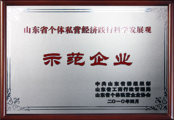 2010年山東省個(gè)體私營經(jīng)濟(jì)踐行科學(xué)發(fā)展觀示范企業(yè)